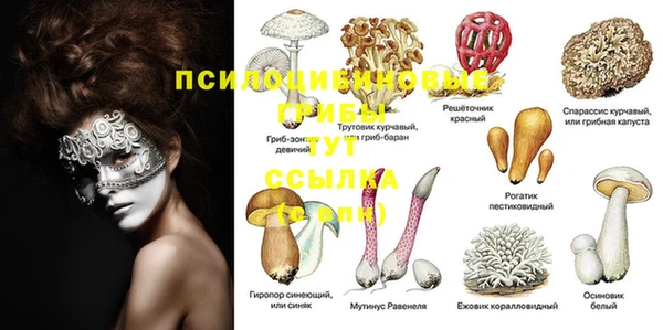 соль ск Алексеевка