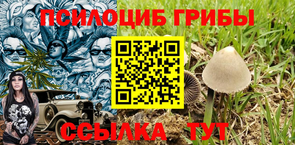 цены наркотик  Псилоцибиновые грибы мицелий  Вход с VPN  Галлюциногенные грибы ЛСД  Березники 