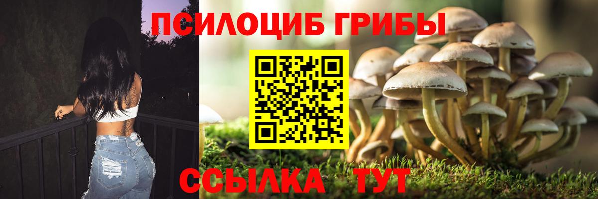 МЕФ Березники